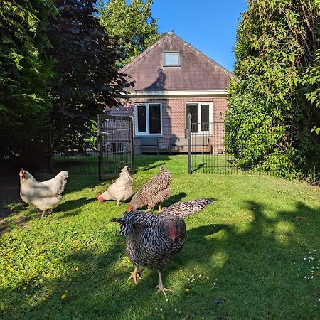 Boutique B&B Villa Van Voss Etten-Leur Εξωτερικό φωτογραφία