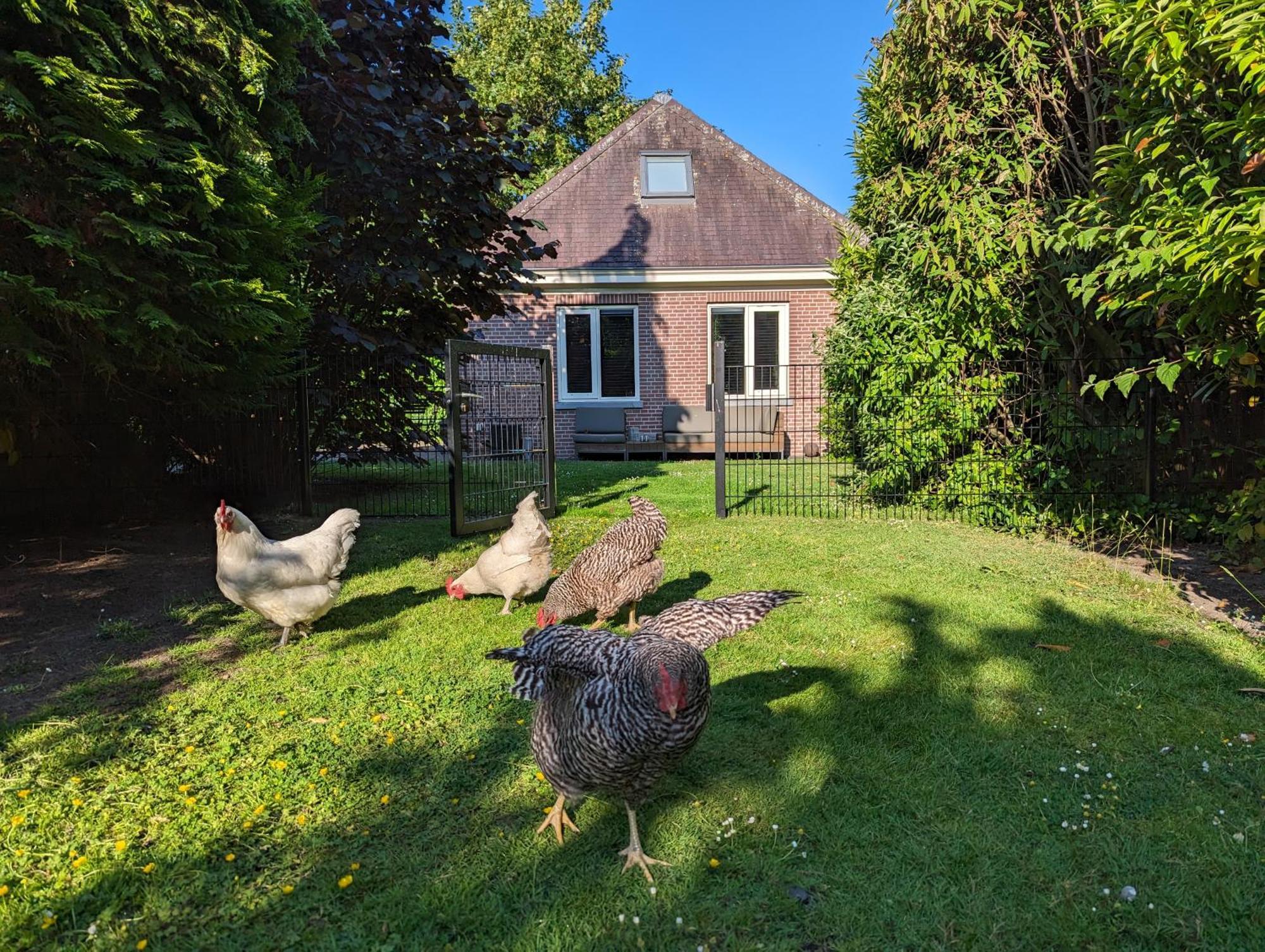 Boutique B&B Villa Van Voss Etten-Leur Εξωτερικό φωτογραφία